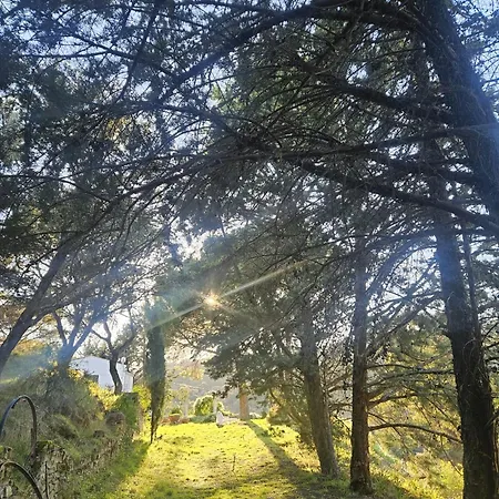 Camino De Hierro I Y Ii