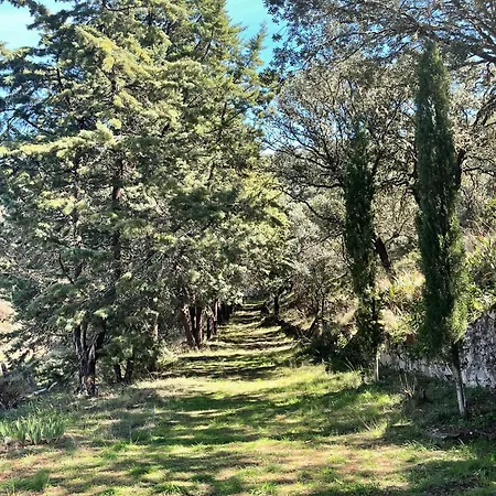 Camino De Hierro I Y Ii