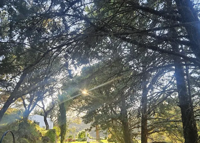 Camino De Hierro I Y Ii