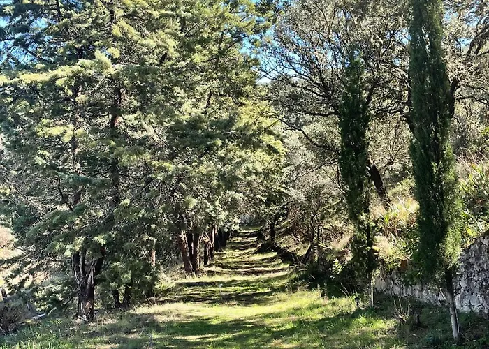Camino De Hierro I Y Ii